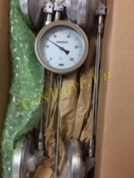 Đồng hồ đo nhiệt độ Wise Hàn Quốc , chân cong gật gù 1/2 inch, D100, T 0-80C