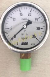 Đồng hồ đo áp suất Wise Hàn Quốc, vỏ Inox D63, chân đồng ren đứng 8A, P0-35kg , có dầu