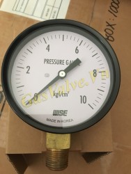 Đồng hồ đo áp suất Wise Hàn Quốc, vỏ thép D100, chân đồng ren đứng 15A, P0~10kg/cm2