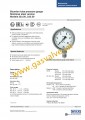 Đồng hồ đo áp suất Wika Germany type 232.50, không dầu, 10Bar