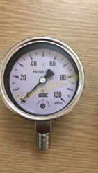 Đồng hồ đo áp suất Wise Hàn Quốc P440, vỏ inox D63, chân inox đứng ren 8A, P0-100mmbar