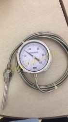 Đồng hồ đo nhiệt độ Wise Hàn Quốc, T100C, can nhiệt dài 3m , D150mm 