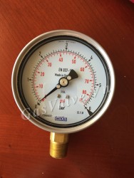 Đồng hồ đo áp suất Đức Wika chân đồng đứng 15A, thân inox D100 P6 bar