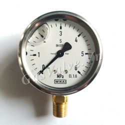 Đồng hồ đo áp suất Đức Wika chân đồng đứng 15A, thân inox D100 P6 Mpa