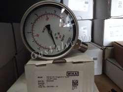 Đồng hồ đo áp suất Đức Wika chân inox đứng 15A, thân inox D100 P10 kg 140 psi