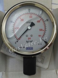 Đồng hồ đo áp suất Đức Wika chân inox đứng 15A, thân inox D100 P40 kg 560 psi