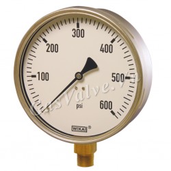 Đồng hồ đo áp suất Đức Wika chân inox sau 8A, thân inox D100 P600 psi