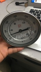 Đồng hồ đo nhiệt độ Pintrument mặt D100mm, thân inox , chân sau inox 15A, nhiệt độ 200C 400F