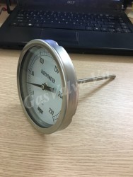 Đồng hồ đo nhiệt độ Wise mặt D100mm, thân Inox , chân sau Inox 15A, nhiệt độ 250C 