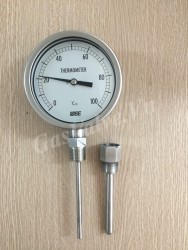 Đồng hồ đo nhiệt độ Wise mặt D200mm, thân Inox, chân dưới Inox 15A, nhiệt độ 100C 