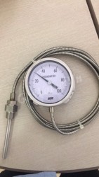 Đồng hồ đo nhiệt độ Wise T210 thân inox D150, nhiệt độ 0-100C, can nhiệt L3m