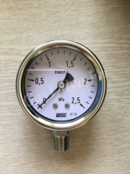 Đồng hồ áp suất Wise P252 vỏ Inox chân inox dưới 1/2 (15A) , mặt D100mm, áp 0-2,5 Mpa 