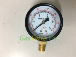 Đồng hồ đo áp suất gas, khí nén Ligi , không dầu , chân đồng , dải đo 0-5kg/cm2, 