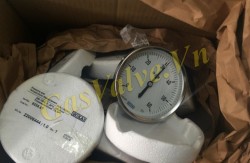 Đồng hồ đo nhiệt độ bồn gas Wika Đức, 60 độ C, D 100 mm