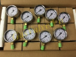 Đồng hồ đo áp suất Wise Hàn Quốc, vỏ Inox D100mm, chân đồng ren đứng 15A, P0-6bar