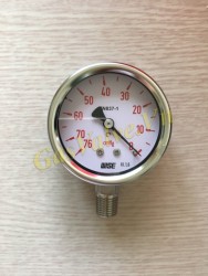 Đồng hồ đo áp suất Wise Hàn Quốc, vỏ inox D63, chân inox ren đứng 8A, P(-76)~0 cmHg