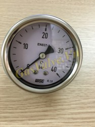Đồng hồ đo áp suất Wise Hàn Quốc P252, vỏ inox D63, chân sau inox ren 8A, P0~40 BarBar