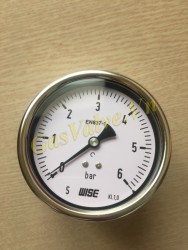 Đồng hồ đo áp suất Wise Hàn Quốc P253, vỏ inox D100, chân sau lệch tâm đồng ren 15A, P0-6Bar