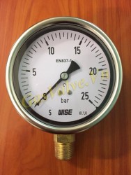 Đồng hồ đo áp suất Wise Hàn Quốc P253, vỏ inox D100, chân đứng đồng ren 15A, P0-25Bar